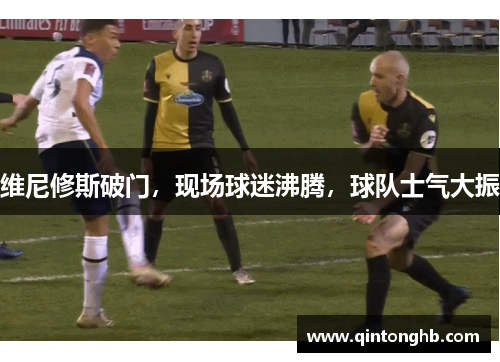 维尼修斯破门，现场球迷沸腾，球队士气大振